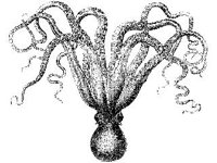 ANML0786.jpg