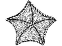 ANML0780.jpg