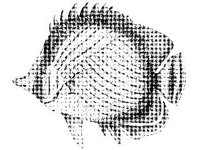 ANML0779.jpg