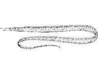 ANML0778.jpg