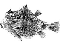 ANML0777.jpg