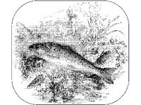 ANML0776.jpg
