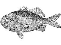 ANML0775.jpg