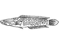 ANML0771.jpg