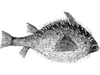 ANML0770.jpg