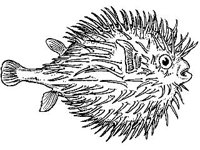 ANML0769.jpg