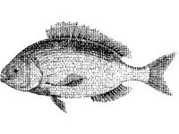 ANML0768.jpg