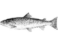 ANML0767.jpg