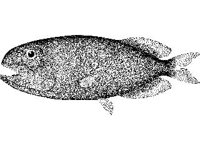 ANML0765.jpg