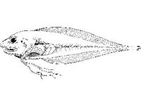 ANML0764.jpg