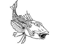 ANML0762.jpg
