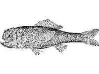 ANML0755.jpg