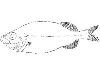 ANML0753.jpg