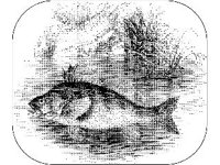 ANML0750.jpg