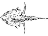 ANML0746.jpg