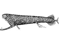 ANML0744.jpg
