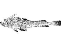 ANML0741.jpg