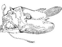 ANML0739.jpg