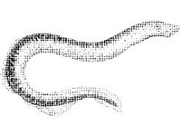ANML0736.jpg