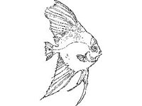 ANML0732.jpg