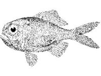 ANML0730.jpg
