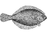 ANML0729.jpg