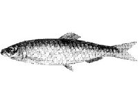 ANML0728.jpg