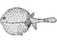 ANML0726.jpg