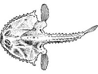ANML0724.jpg