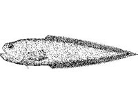 ANML0723.jpg