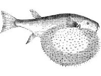 ANML0722.jpg