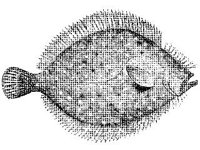 ANML0719.jpg