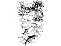 ANML0718.jpg