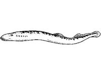 ANML0712.jpg