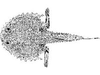 ANML0711.jpg