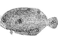 ANML0708.jpg