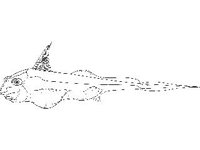 ANML0696.jpg