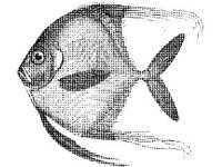 ANML0694.jpg