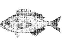 ANML0693.jpg