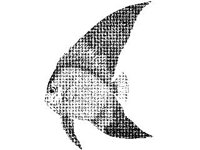 ANML0687.jpg