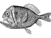 ANML0680.jpg