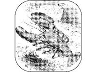 ANML0673.jpg