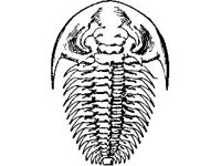 ANML0672.jpg