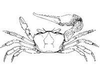 ANML0670.jpg
