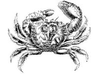 ANML0668.jpg