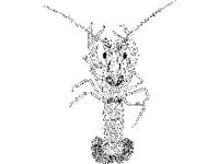 ANML0665.jpg