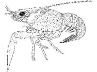ANML0664.jpg