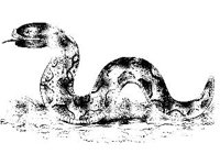 ANML0659.jpg