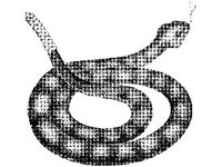 ANML0654.jpg