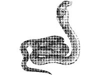 ANML0646.jpg